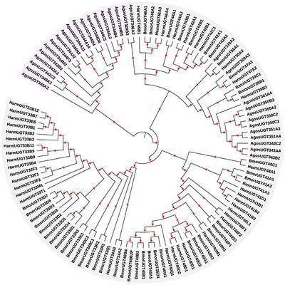 <mark class="highlighted">Thiamethoxam</mark> Resistance in Aphis gossypii Glover Relies on Multiple UDP-Glucuronosyltransferases